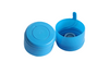 Gallon Cap Mould